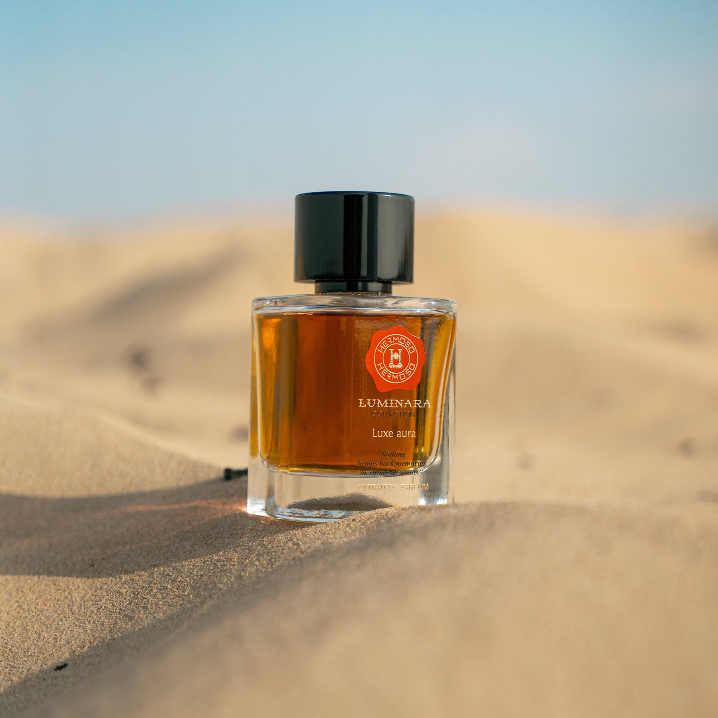 Luxe Aura Eau de Parfume Unisex 100ml