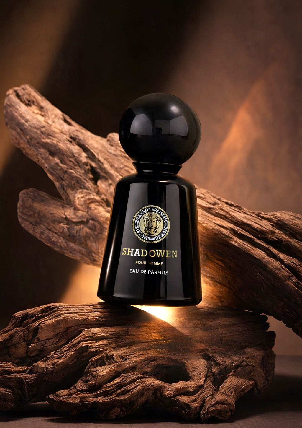 ANTEROSS – SHADOWEN EDP 100ML (For Him)