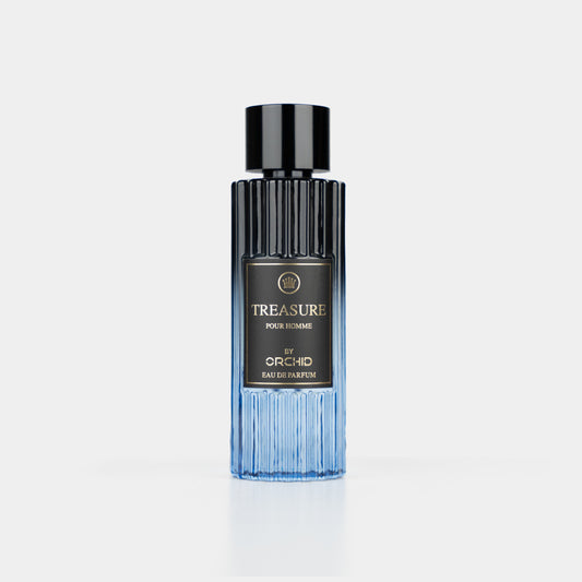 Treasure Pour Homme Eau De Parfume - 100ML