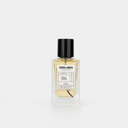 Element N.06 for Men Eau de Perfume - 100ML