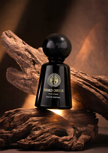 ANTEROSS – SHADOWEN EDP 100ML (For Him)
